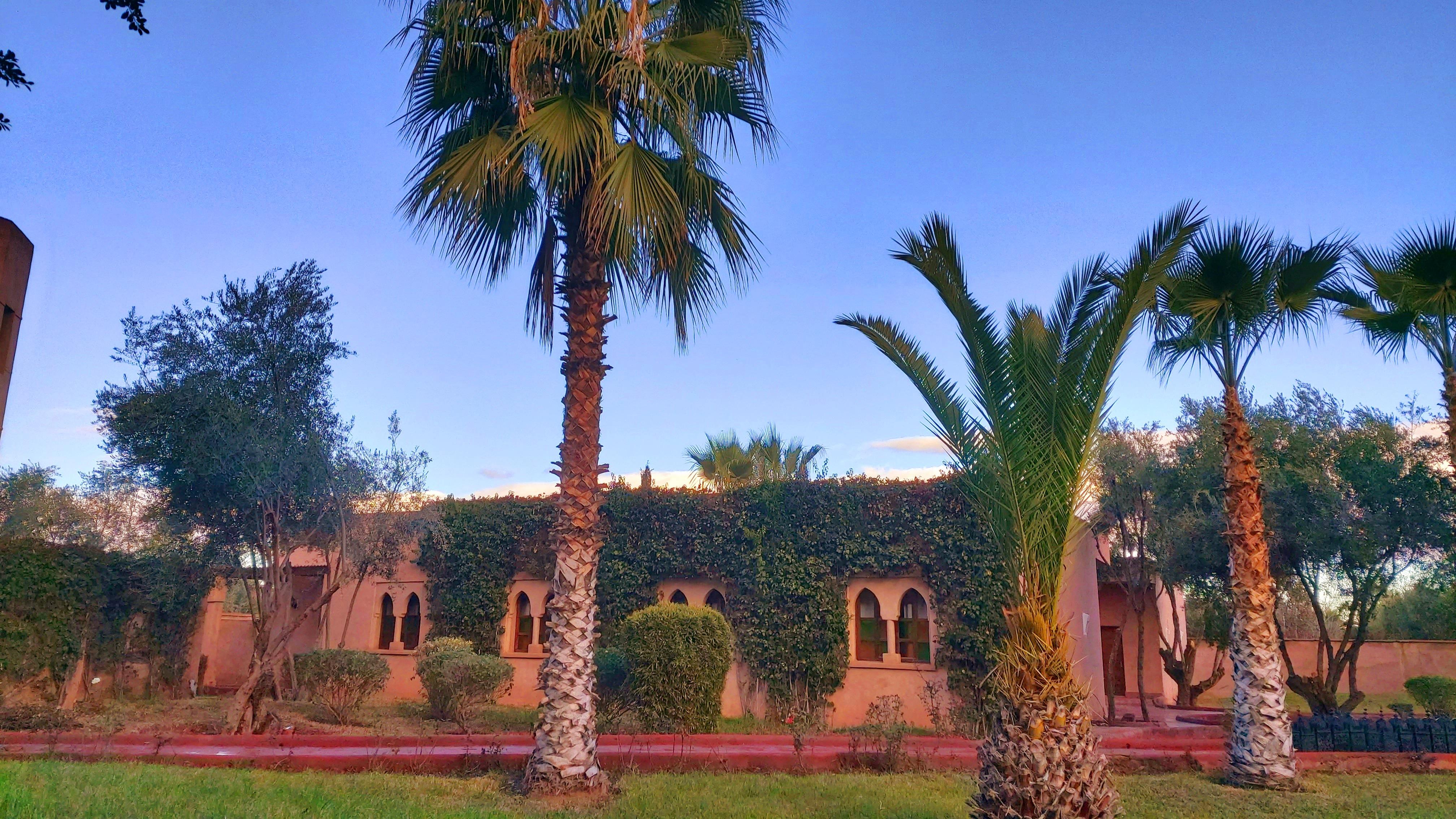 La Maison Des Oliviers Marrakesz Zewnętrze zdjęcie